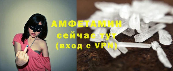 прущие грибы Лихославль