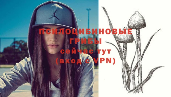 прущие грибы Лихославль