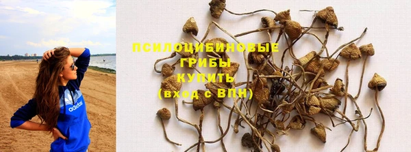 прущая мука Лиски