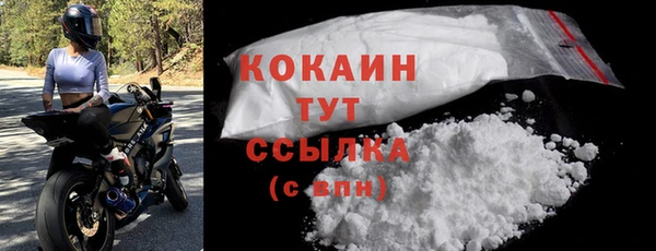 прущие грибы Лихославль