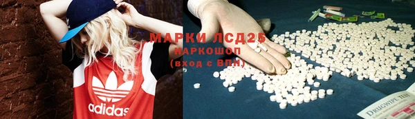 прущие грибы Лихославль