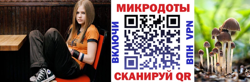 Купить  Сухой Лог  Галлюциногенные грибы мицелий 